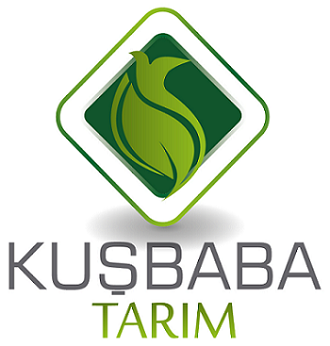 kuşbaba logo